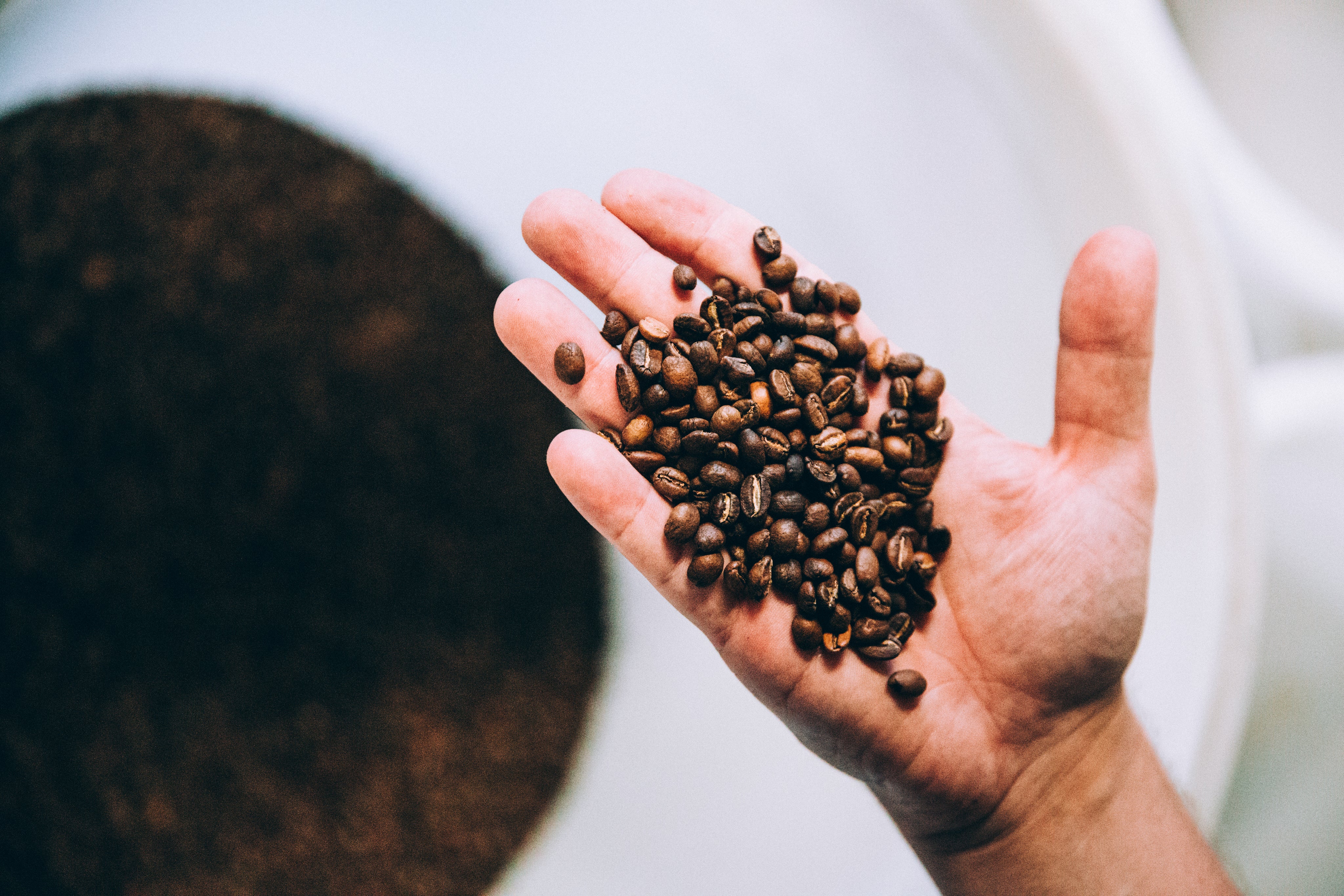 Kaffee-Kurse buchen für Einzelpersonen und Gruppen