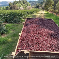 Espresso LOFA