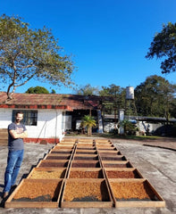 DECAF SAN FELIPE - entkoffeiniert